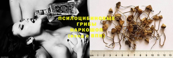 индика Белоозёрский