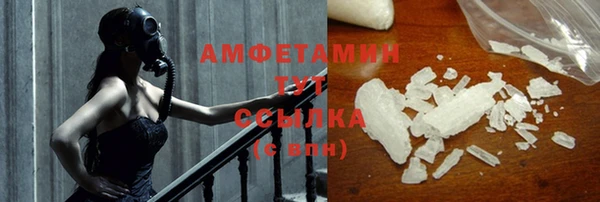 шишки Беломорск