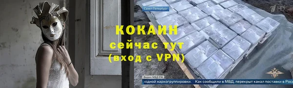 шишки Беломорск