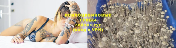 дмт Белокуриха