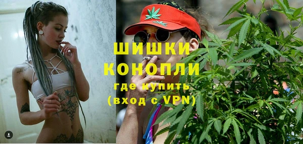 индика Белоозёрский