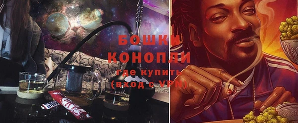 дмт Белокуриха
