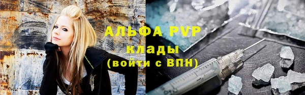 индика Белоозёрский