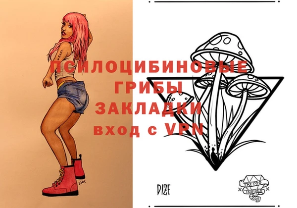 шишки Беломорск