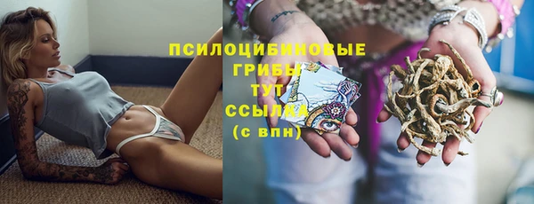 индика Белоозёрский